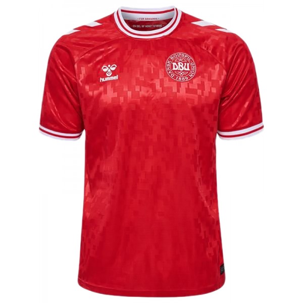 Denmark home jersey soccer uniform men's first sportswear football kit top shirt Euro 2024 cup